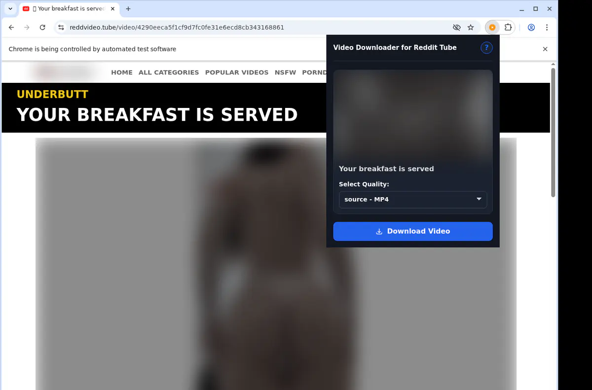 Reddittube Video Downloader screenshot 3